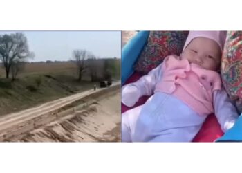 Ерлі-зайыпты даладан арбасында жатқан кішкентай сәбиді тауып алды