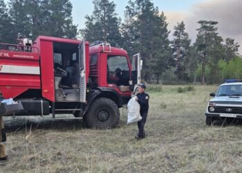 ОРМАН ӨРТІ АУЫЗДЫҚТАЛМАЙ ТҰР