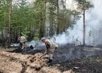 Қарулы күштердің әскери қызметшілері Абай облысындағы өртті сөндіруге атсалысуда