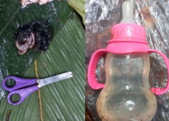 Колумбияда ұшақ апатынан аман қалған төрт балақай джунглиде 17 күн өткізген