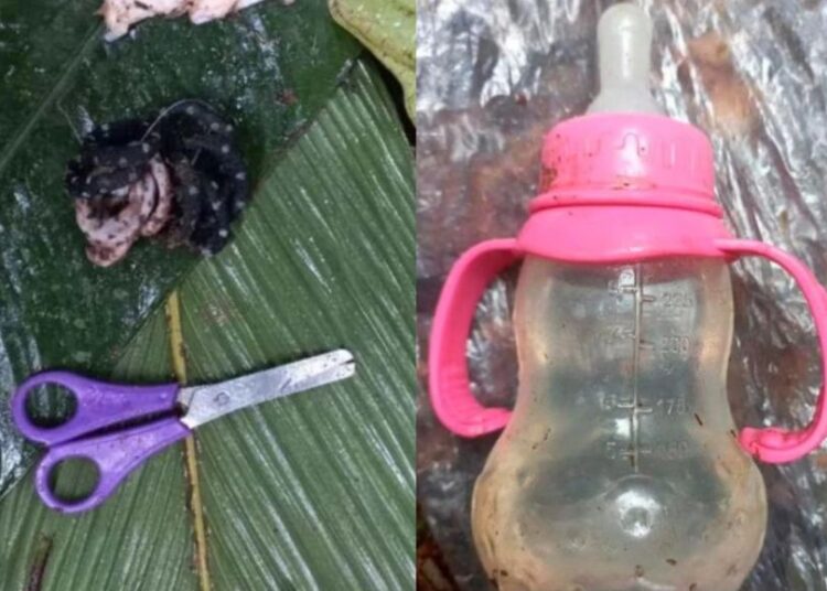 Колумбияда ұшақ апатынан аман қалған төрт балақай джунглиде 17 күн өткізген