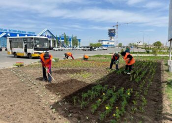 Семейде қаланы көгалдандыру жұмыстары жүргізілуде