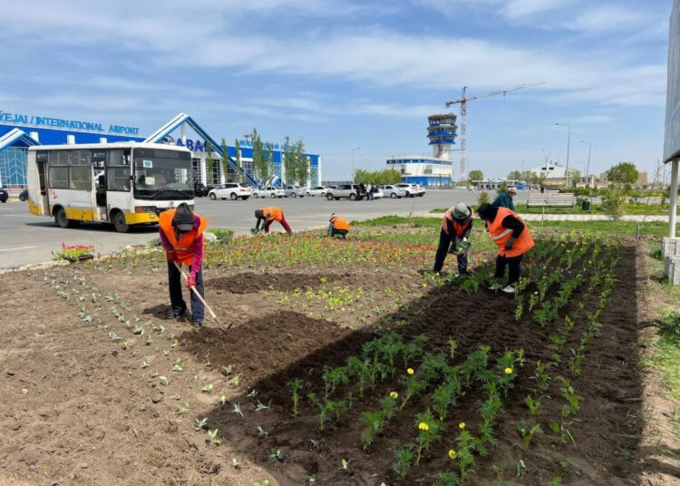Семейде қаланы көгалдандыру жұмыстары жүргізілуде