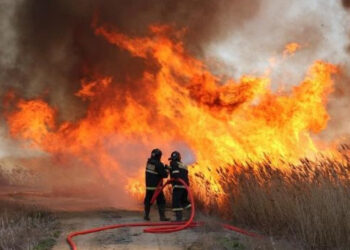 HALYK BANK 3 МЛН ТЕҢГЕДЕН КӨМЕК БЕРЕДІ