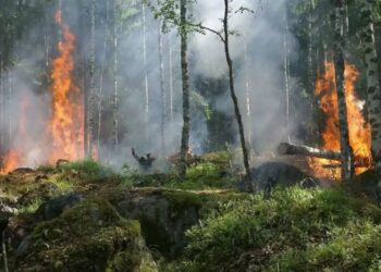 Өрт кезінде өмірін құрбан еткен жандар мемлекеттік наградаға ұсынылады