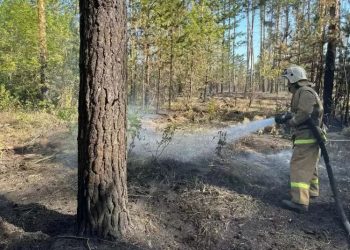 Абай облысындағы орман өрті оқшауланды