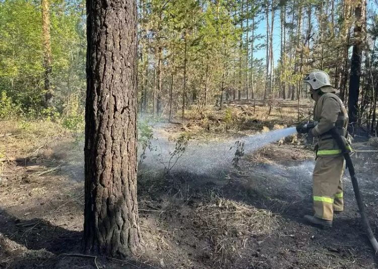 Абай облысындағы орман өрті оқшауланды