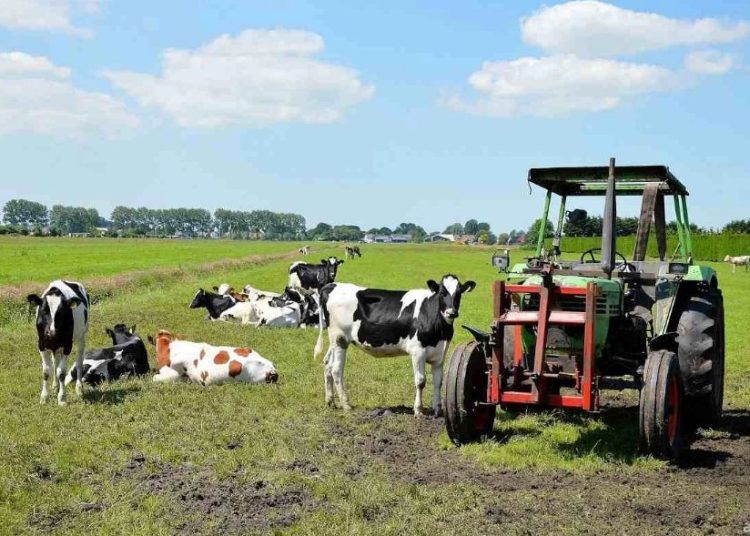 Абай облысында былтыр 84,7 мың гектар жайылым жер мемлекет меншігіне қайтарылған