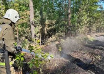 Абай облысында тағы да ірі өрт болып жатыр