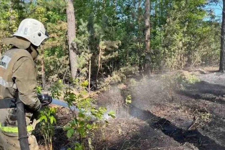 Абай облысында тағы да ірі өрт болып жатыр