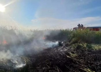 Абай облысындағы дала өрті үш күннен кейін сөндірілді