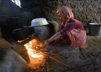 Мен тамсанып жүрген келін күйеуін жуынды ішетін бұралқы итке айналдырып жіберген