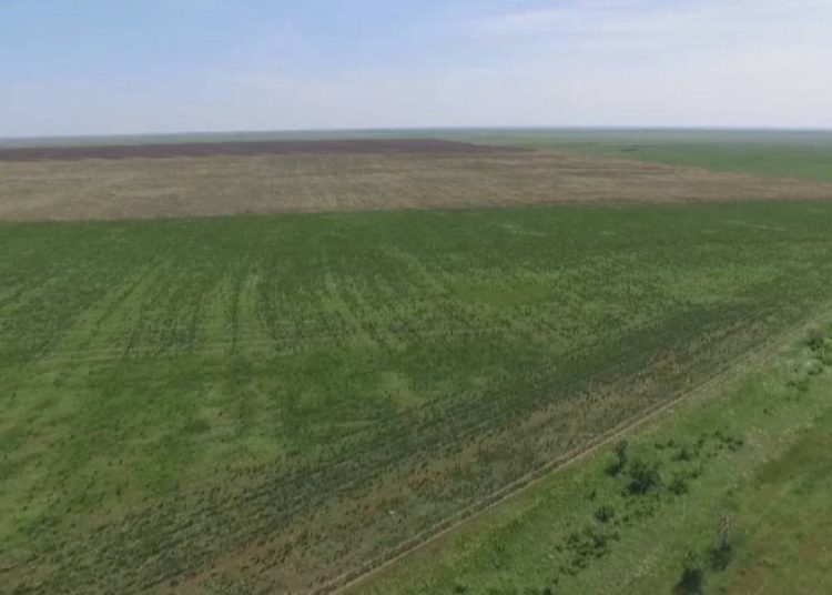 Пайдаланылмай жатқан жерлер мемлекет меншігіне қайтарылды