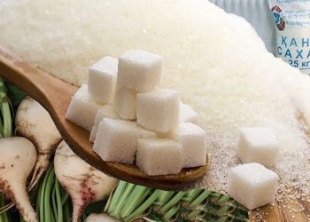 «Қант бағасы 1000-1500 теңгеге баруы мүмкін»