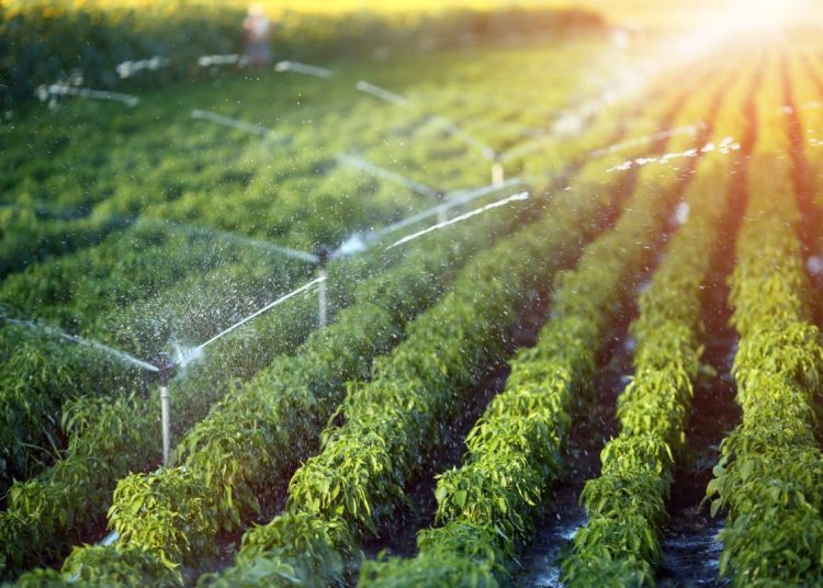 Енді Қазақстанда Су ресурстары және ирригация министрлігі құрылады