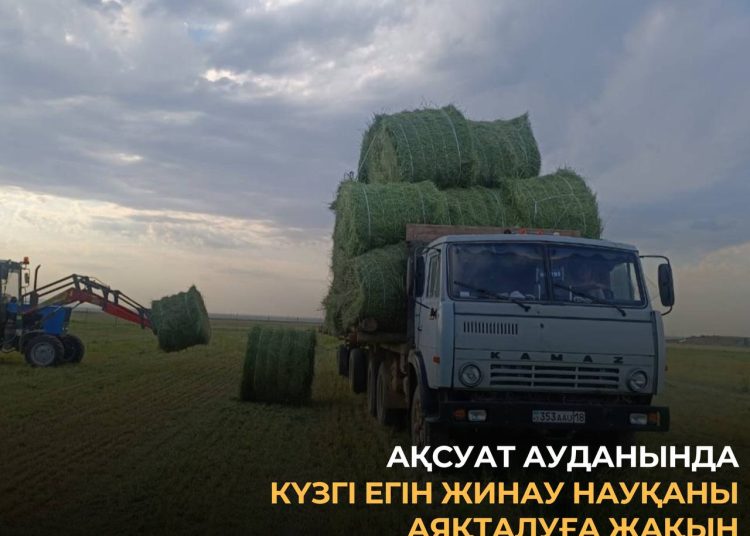 Ақсуат ауданында күзгі егін жинау науқаны аяқталуға жақын