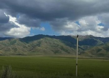 Абай облысында пайдаланылмай жатқан 130,5 мың га жер мемлекет меншігіне қайтарылды