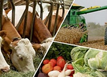 Қуатты өңір — қуатты болашақ