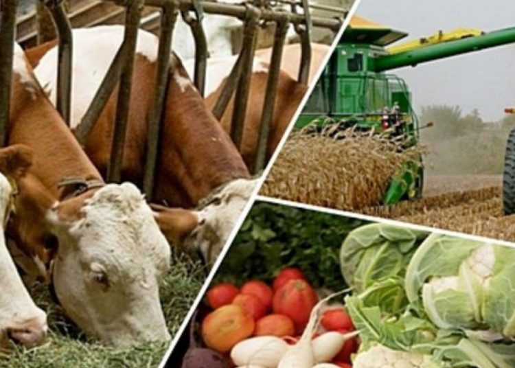 Қуатты өңір — қуатты болашақ