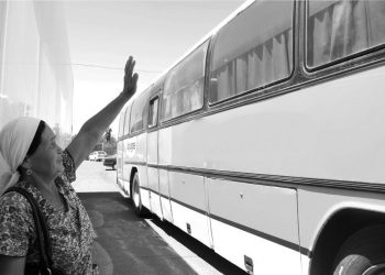 Бесқарағайға 10 отбасы келіп қоныстанды