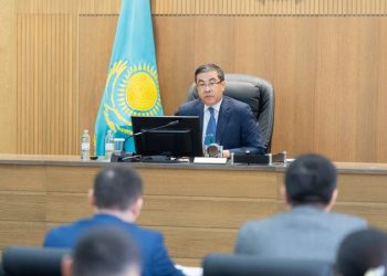 Мемлекет қолдауындағы мәселе