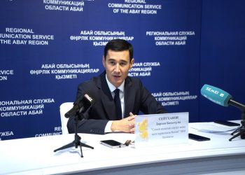 Семейдің саяжай алаңдары – олар қаланың жаңа Бас жоспарында қалай көрінеді