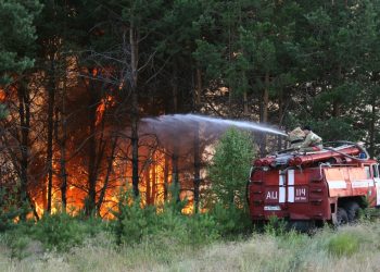 Орман өрттері — ХХІ ғасырдың жаһандық мәселесі