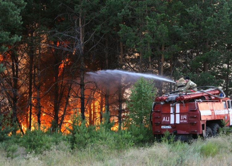 Орман өрттері — ХХІ ғасырдың жаһандық мәселесі