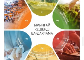 Бірыңғай кешенді бағдарлама