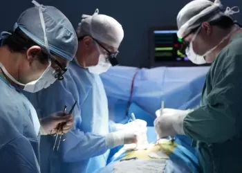 АҚШ-та адамға шошқаның бүйрегі салынды