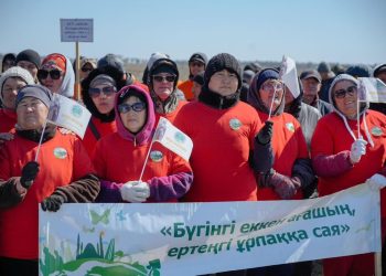 Абай облысында 60 мыңға жуық көшет отырғызылды