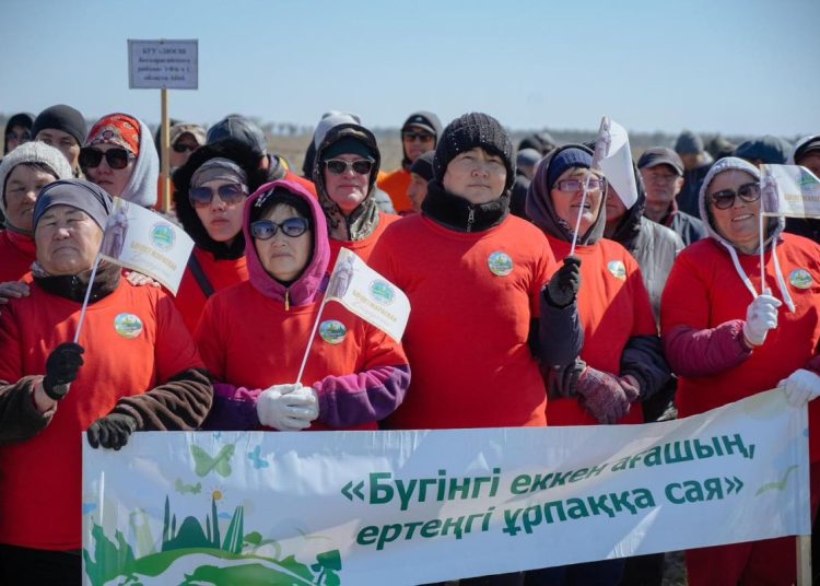 Абай облысында 60 мыңға жуық көшет отырғызылды