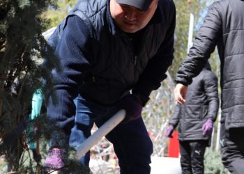 Семейде 1000-нан аса жас көшеттер отырғызылды