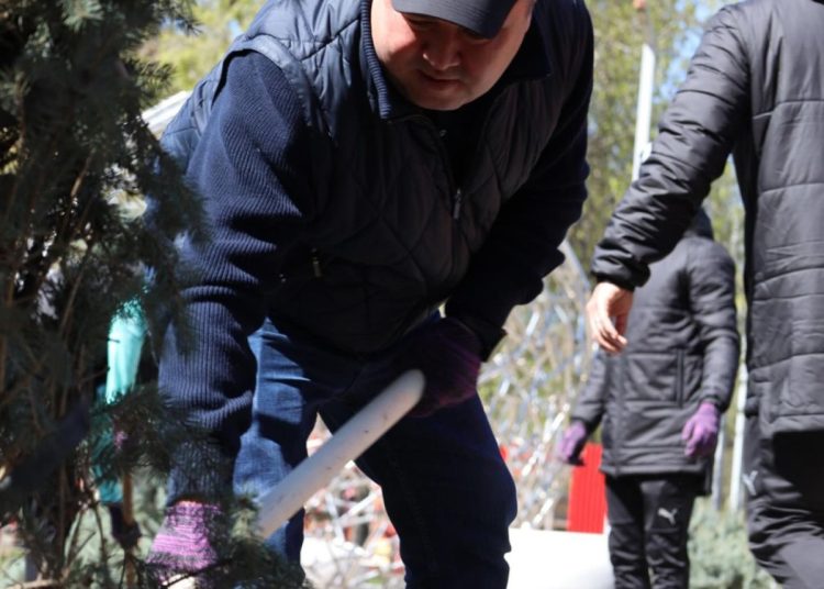 Семейде 1000-нан аса жас көшеттер отырғызылды