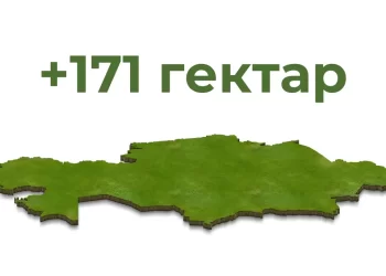 Қазақстанның жері 171 гектарға ұлғаюы мүмкін