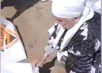 Тасқынмен күресте көмекке асыққан әжеге Президент алғыс айтты