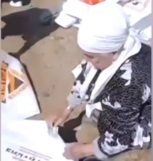 Тасқынмен күресте көмекке асыққан әжеге Президент алғыс айтты