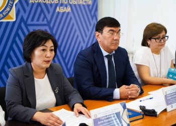 Қазақстанда жалпыға бірдей декларациялаудың үшінші кезеңі басталды