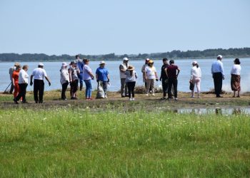 Бородулиха ауданының тұрғындары көл жағасын тазартты