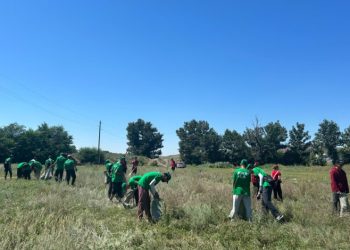 Жастар Аягөз ауданындағы «Питомник» аумағын ретке келтірді