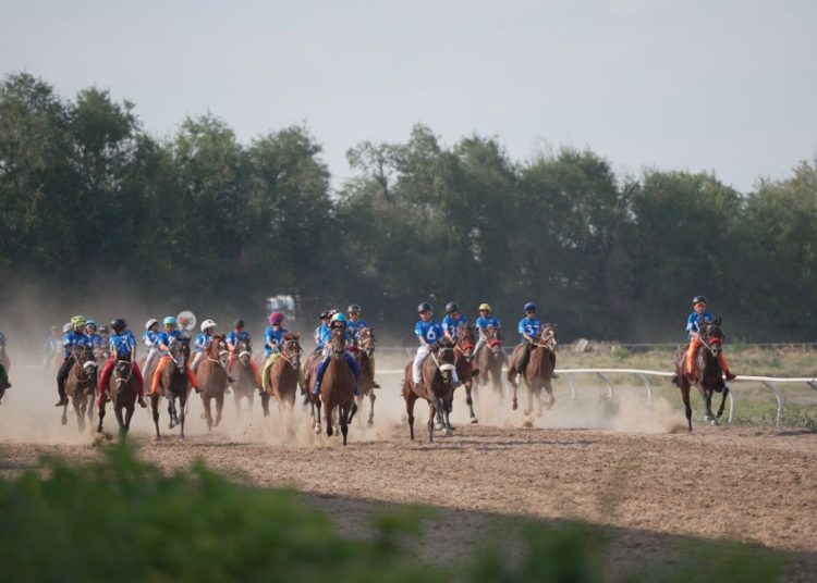 Дүниежүзілік көшпенділер ойындарында бәйгеге шабатын аттар белгілі болды