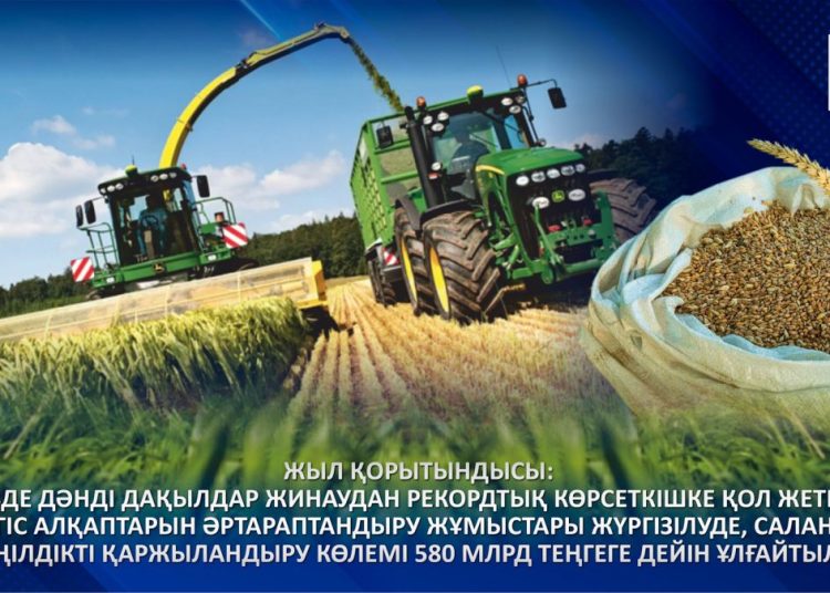 Жыл қорытындысы: Елімізде дәнді дақылдар жинаудан рекордтық көрсеткішке қол жеткізілді