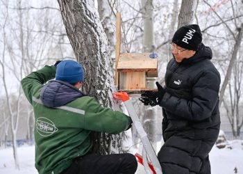 Облыс әкімі тұрғындармен бірге құс ұяларын орнатуға қатысты