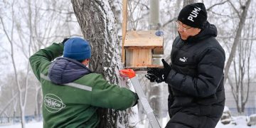 Облыс әкімі тұрғындармен бірге құс ұяларын орнатуға қатысты