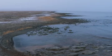 Солтүстік Арал қалпына келуде