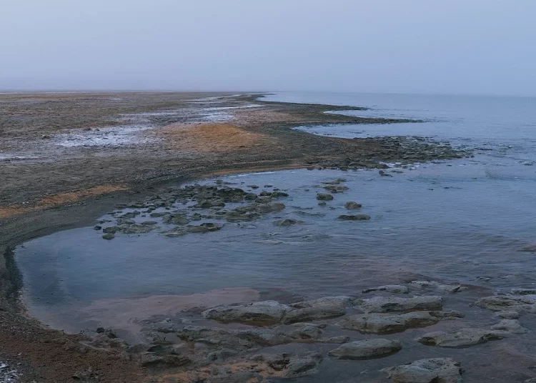 Солтүстік Арал қалпына келуде