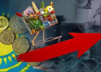 ҚҚС мөлшерлемесін көтеру: Бұл бағаға қалай әсер етеді?