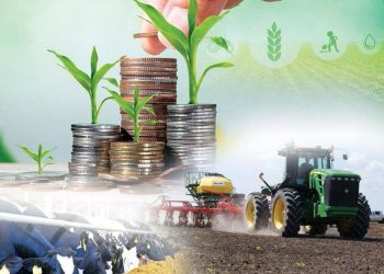 2,5% несиелер: «Ауыл аманаты» бағдарламасы ауыл тұрғындарының әл-ауқатын арттыруға қалай көмектеседі