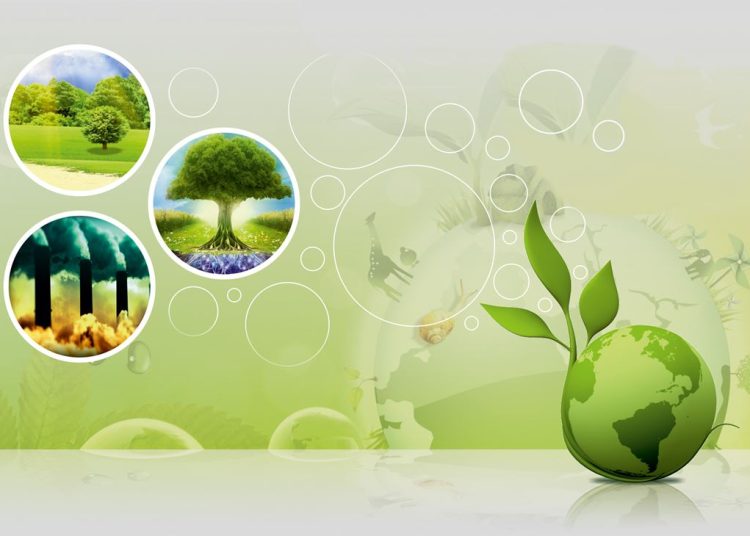 Орнықты даму және оның аймақтық аспектілері