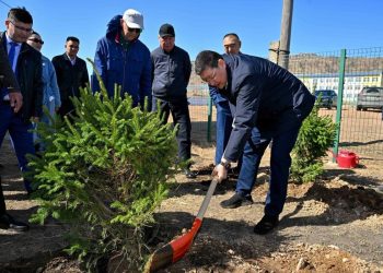 Облыс әкімі Қайнар ауылындағы сенбілікке қатысты